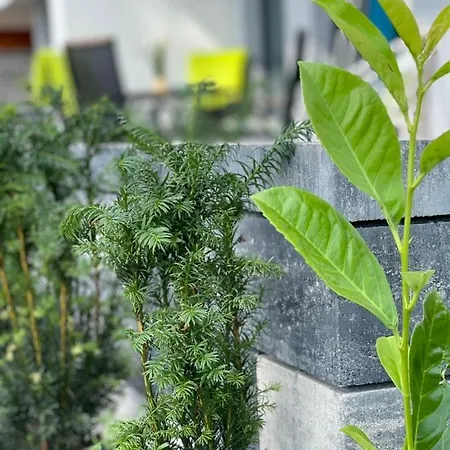 アパート Baltic A8 *