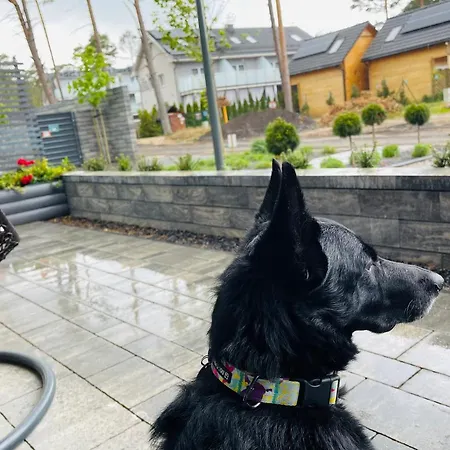 Baltic A8 アパート