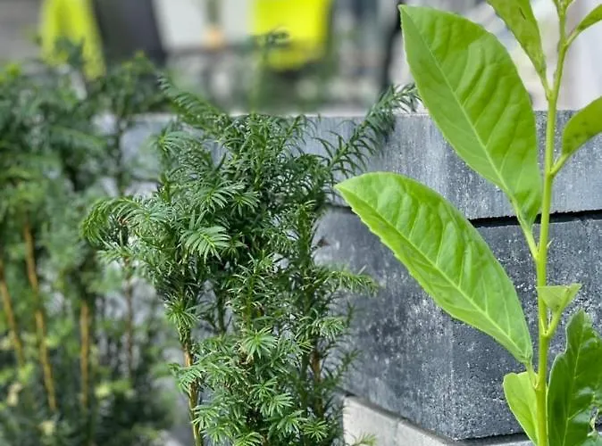 Apartmán Baltic A8 *